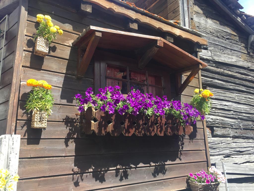Ascot-Zermatt Apartment Bagian luar foto